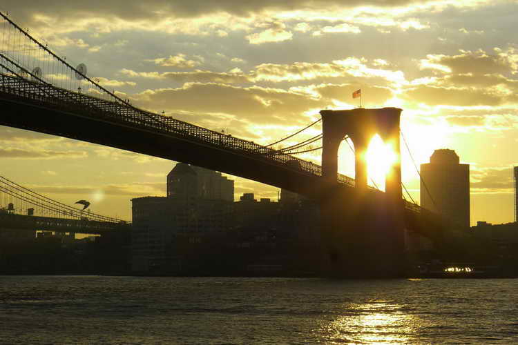 NYC_2017-11-29 07-33-58_P1140709